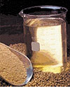 Biodiesel