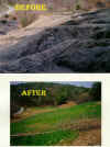 A reclamation project along a rails to trails site
