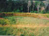 A sediment pond left as a permanent structure