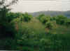 A well reclaimed site