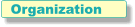 Organization
