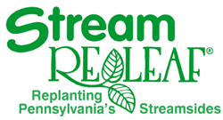 Stream LOGO