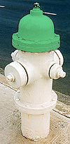 Green Fire Hydrant