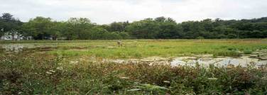 Steinberger Property:  Photo taken 11 months after construction
