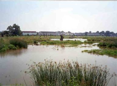 Lititz Run Watershed Alliance, 7/2000