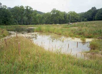 Hemlock Girl Scout Project, 7/2000