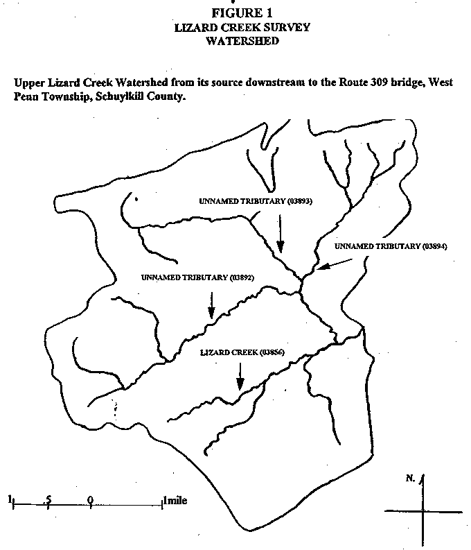 Figure 1 - Lizard Creek