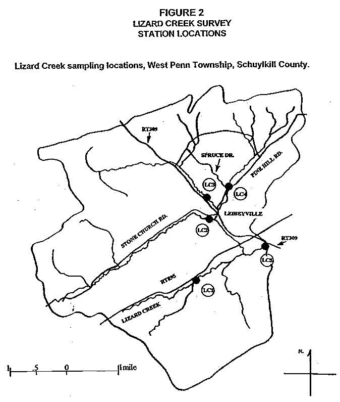 Lizard Creek Map