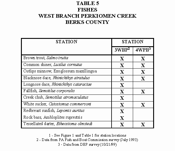 Table 5 - Fishes