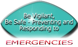Emergency Response Page Button Link