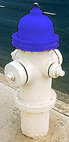 Blue Fire Hydrant