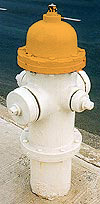 Orange Fire Hydrant